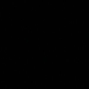 Meet your Posher, Caden